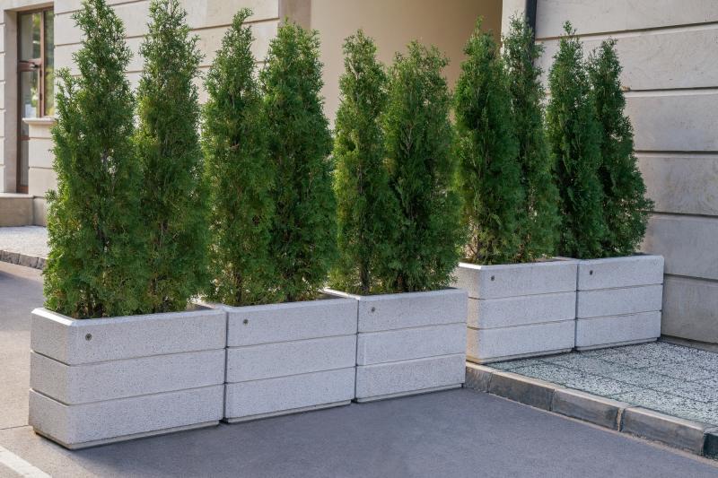  RECTANGULAR CONCRETE PLANTER