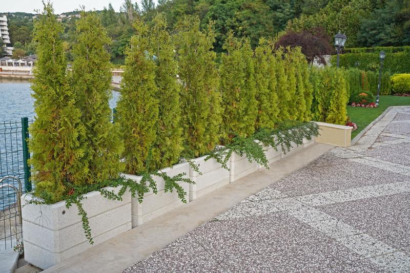  RECTANGULAR CONCRETE PLANTER