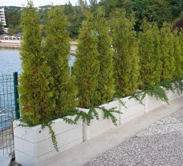  RECTANGULAR CONCRETE PLANTER
